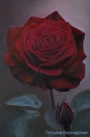 Рисунки учеников с курса Розы маслом